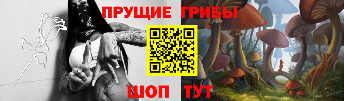 Псилоцибиновые грибы Cubensis  Вход с VPN  Миасс 